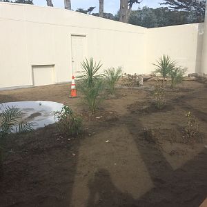 New Komodo Dragon exhibit