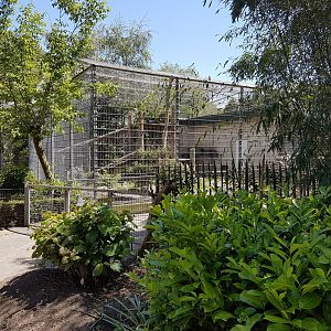 One of the Jaguar-enclosures