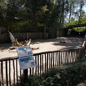 Goat - Alpaca-enclosure