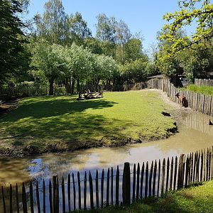 Sitatunga-enclosure