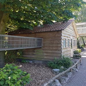 Connections Monkey-enclosures