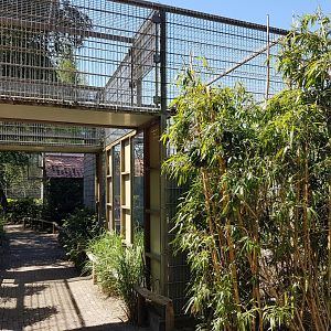 Connection Rhesus-indoor and outdoor-enclosure