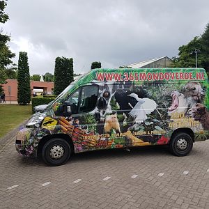 Zoo car