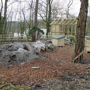 Wallaby Exhibit (awaiting Wallabys)