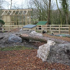 Wallaby Exhibit (awaiting Wallabys)