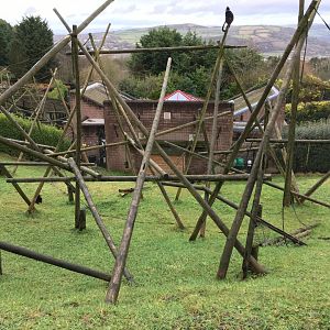 Francòis Languar Exhibit