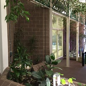 General View inside the Ape house