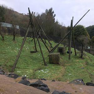 Chimpanzee Exhibit (viewed from the Ape house)