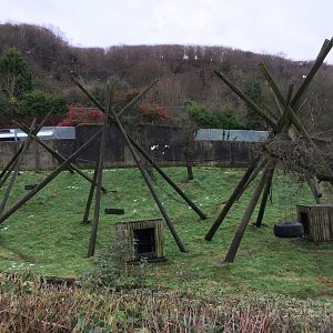 Chimpanzee Exhibit (central view)