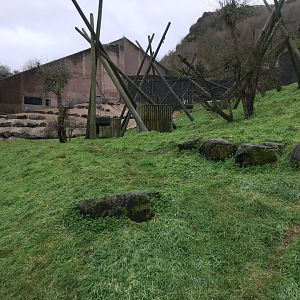 Chimpanzee Exhibit (bottom view)
