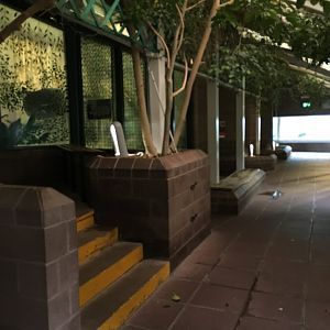 General View in the Gorilla house