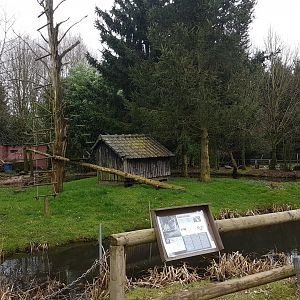 Ring-tailed lemur-enclosure