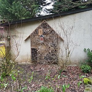 Insect-hotel