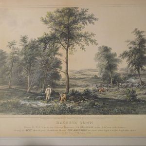 Harvard Mastodon Excavation Illustration