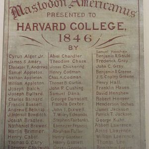 Harvard Mastodon Donor List 1
