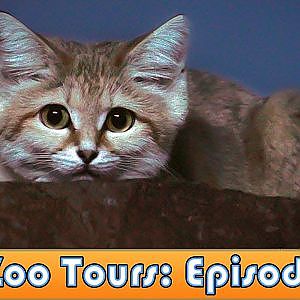 Night Hunters Walkthrough