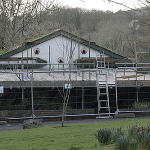 Cottage Aviary reconstruction