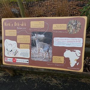 Kirk's Dik Dik Signage