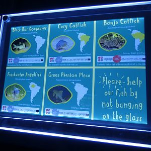 New signs in Aquarium (1)