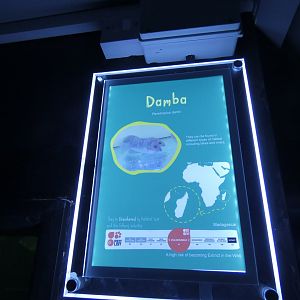 Damba signage