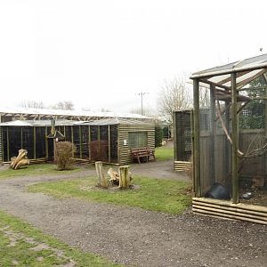 Common Buzzard (l) & Eurasian Eagle Owl (r) 'aviaries'