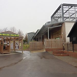 The Western Lowland Chimpanzee House