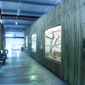 The Small Mammals section/Chimp House