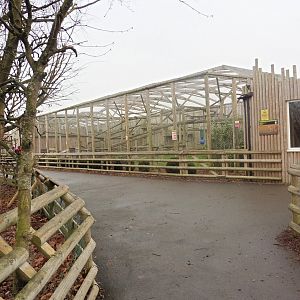 Puma Enclosure & Indoor Cheetah Enclosure