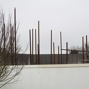 NEW Chimp Eden climbing structures