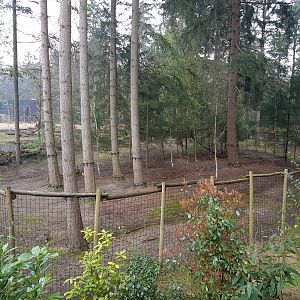 Enclosure Sitatunga