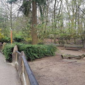 Enclosure Patagonian cavy