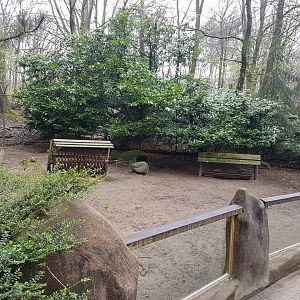 Enclosure Patagonian cavy