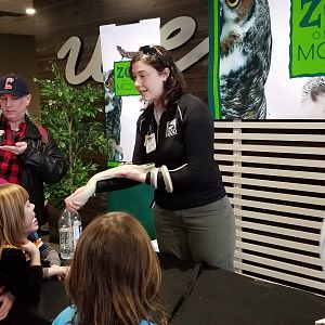 Feb. 2018 - Zoo on the Move - Vineyard Church