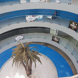 Wayup to Wildpark - Waydown to Aquarium