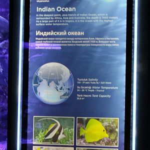 Sign Indian Ocean Tank