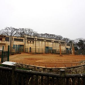 Elephant exhibit
