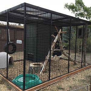 New raccoon enclosure