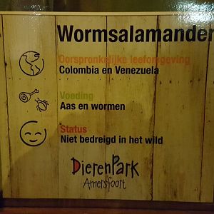 Sign Typhlonectes natans