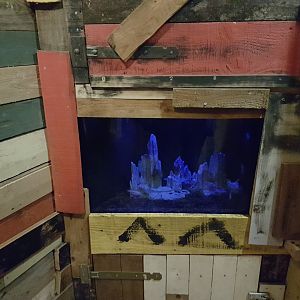 Tank Blind cave-fish