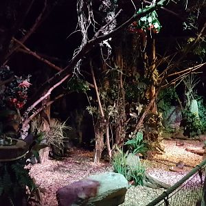 Walk-through enclosure Nocturnal House