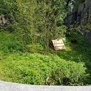 Red panda-enclosure
