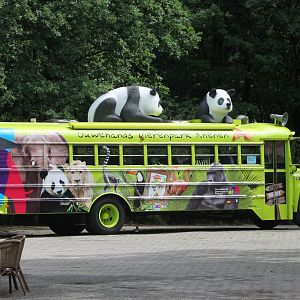 Panda-bus