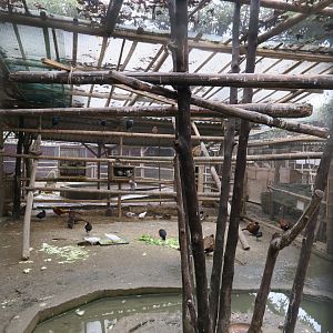 aviary