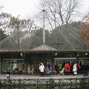 golden snub-nosed monkey enclosure