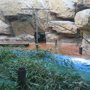 giant panda enclosure