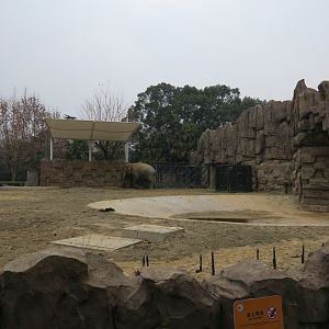 elephant enclosure