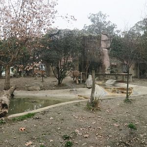 tiger enclosure