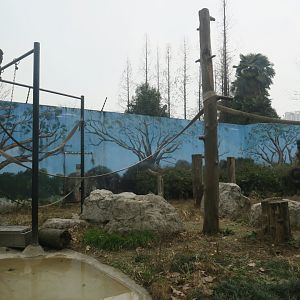 chimpanzee enclosure