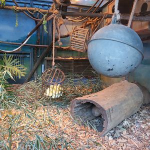 capybara and marmoset enclosure