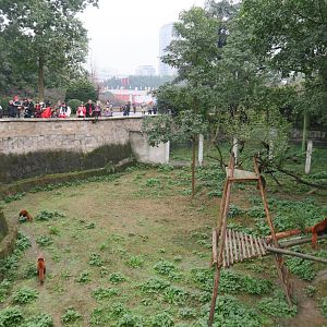 red panda enclosure